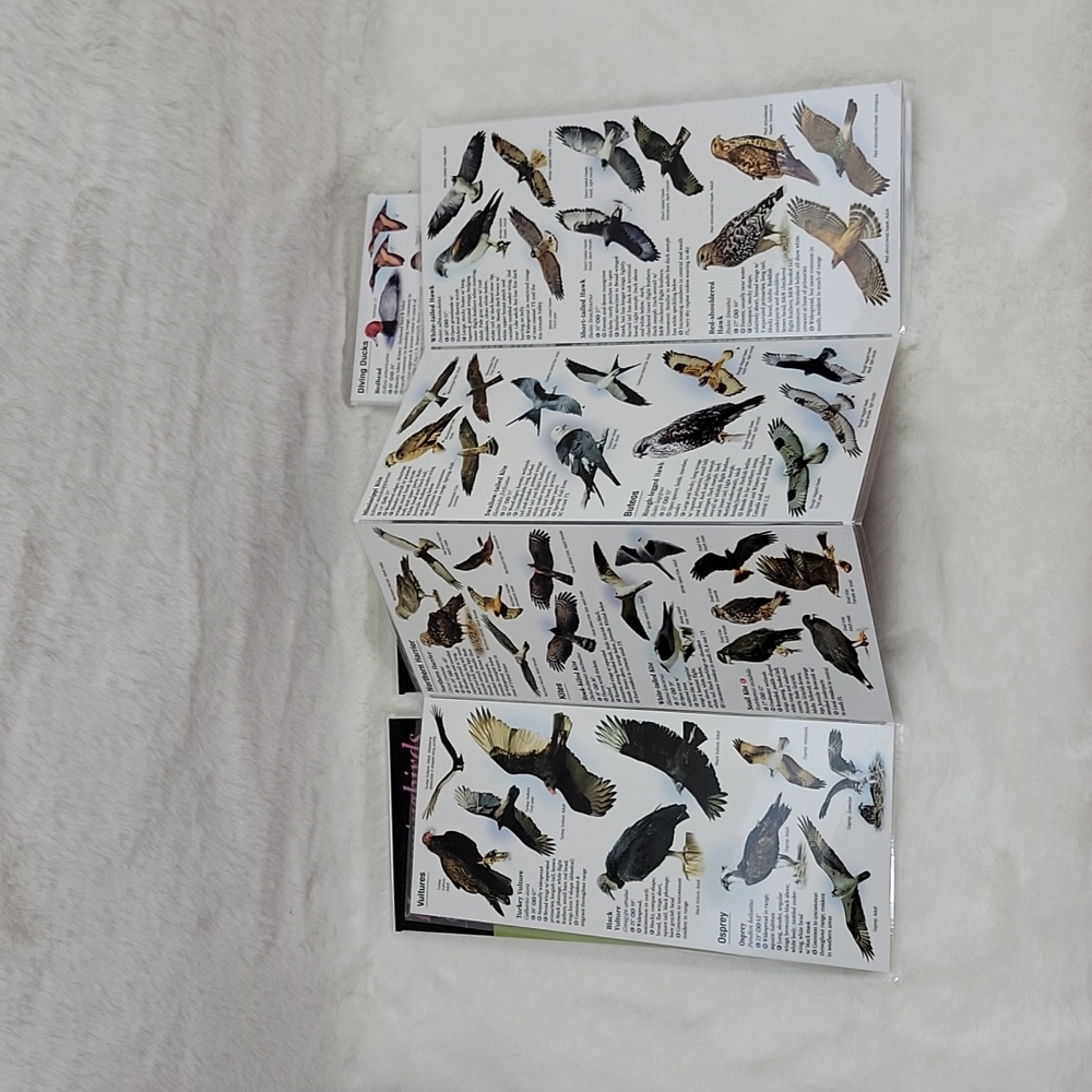 Quick Reference Hummingbirds Raptors Waterfowl Shorebirds of North America - Picture 4 of 7